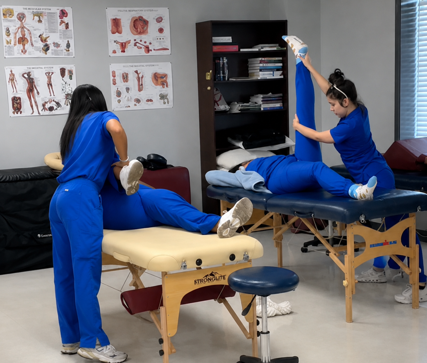 Massage Therapy